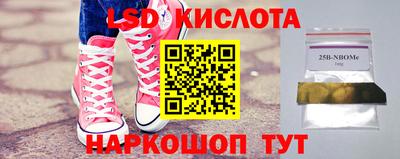 прущие грибы Ирбит