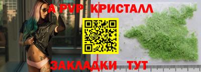 прущие грибы Ирбит