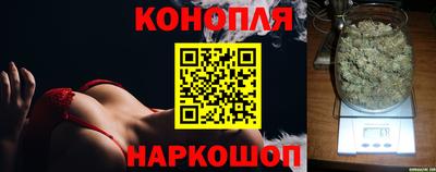 прущие крисы Изобильный