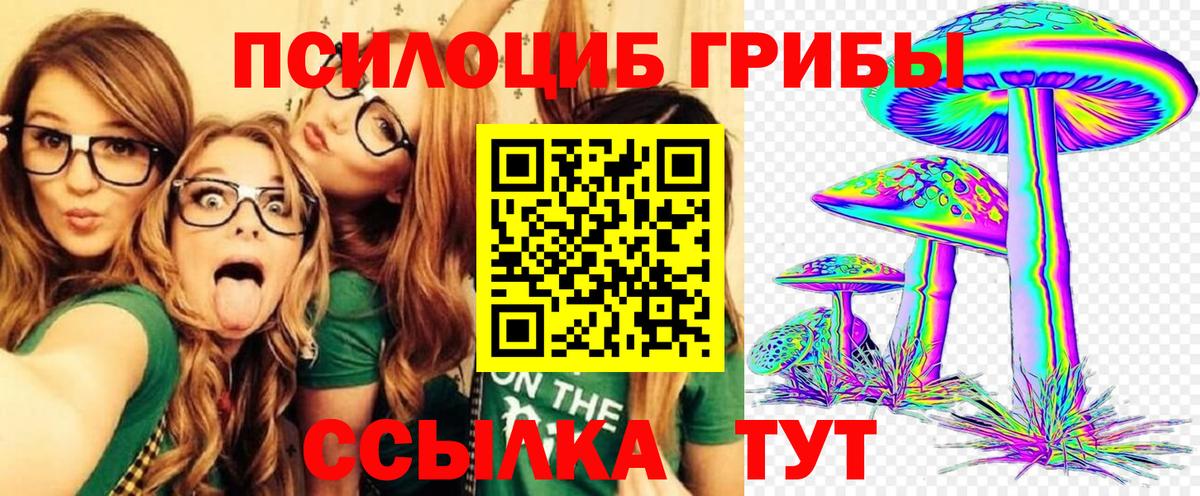 Курчатов  Галлюциногенные грибы мухоморы  Вход с VPN 
