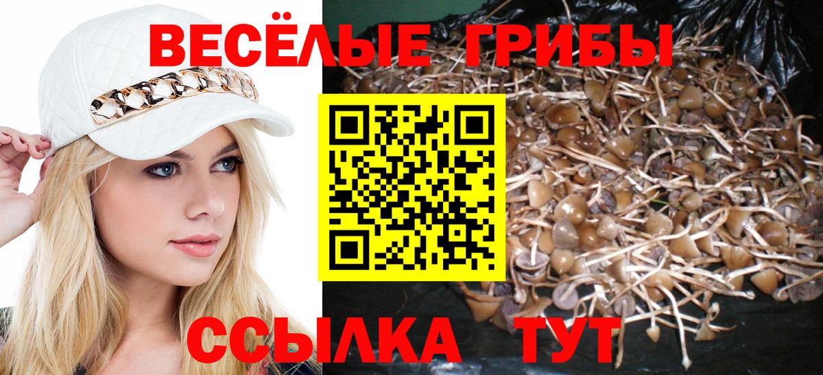 Псилоцибиновые грибы ЛСД Курчатов